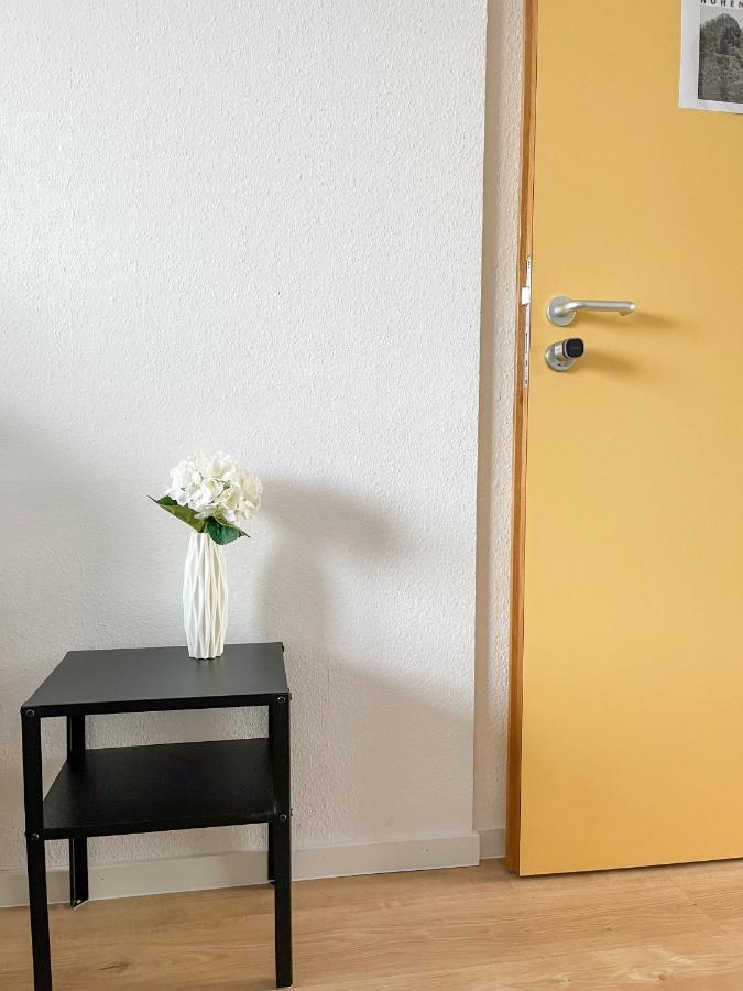 Hegau Boardinghouse Apartment ซิงเงน ภายนอก รูปภาพ
